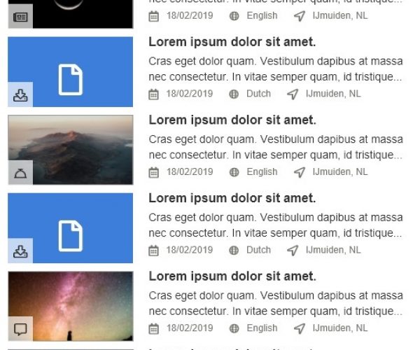 Mobile Search Results
